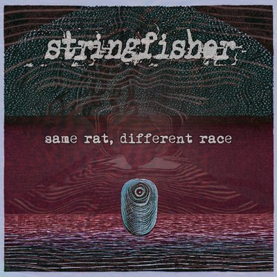 Cover artwork for Stringfisher's single "Same Rat, Different Race" featuring abstract, intertwined shapes and vivid colors.