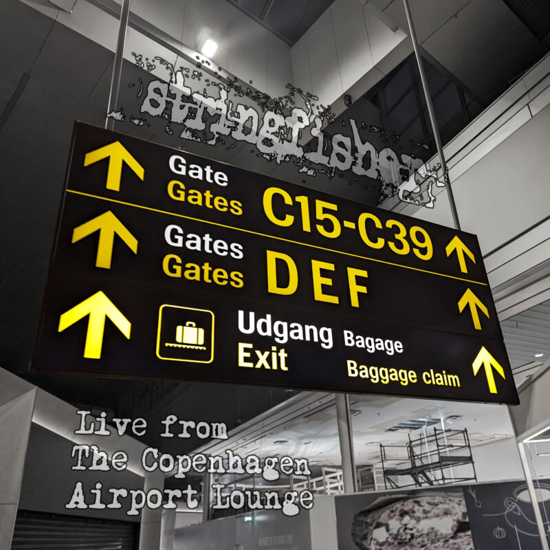 Stringfisher Live from Copenhagen Airport Lounge Acoustic Set